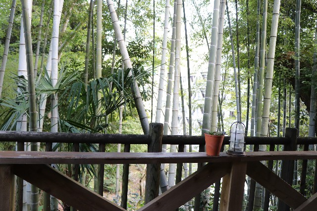 f:id:snow36:20191115222450j:image f:id:snow36:20191115222450j:image