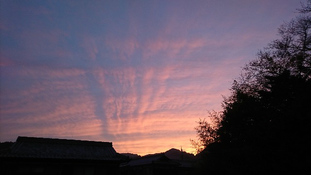 f:id:snow36:20191205140125j:image