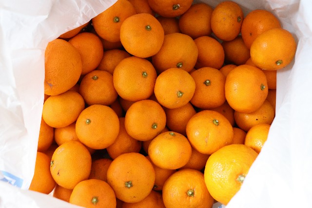 f:id:snow36:20191205153141j:image