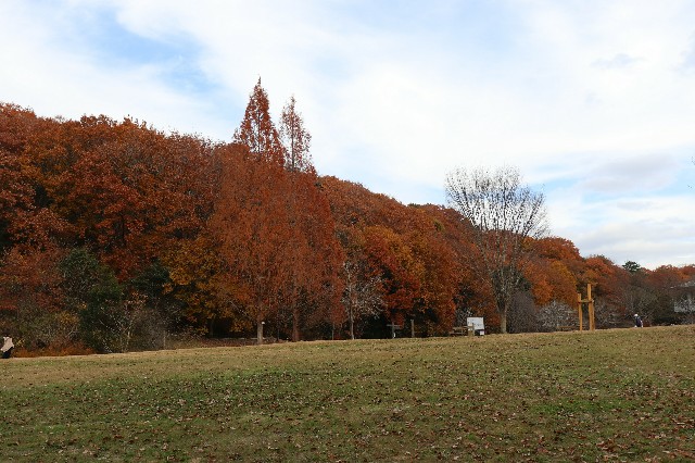 f:id:snow36:20191213194115j:image f:id:snow36:20191213194115j:image