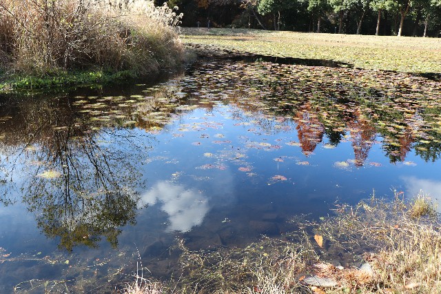 f:id:snow36:20191213195418j:image f:id:snow36:20191213195418j:image