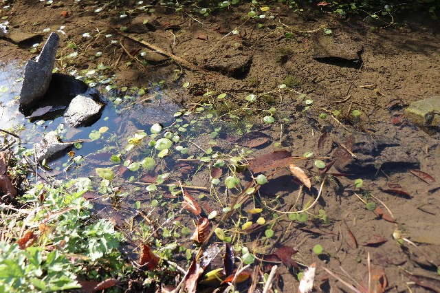 f:id:snow36:20191213200252j:image f:id:snow36:20191213200252j:image