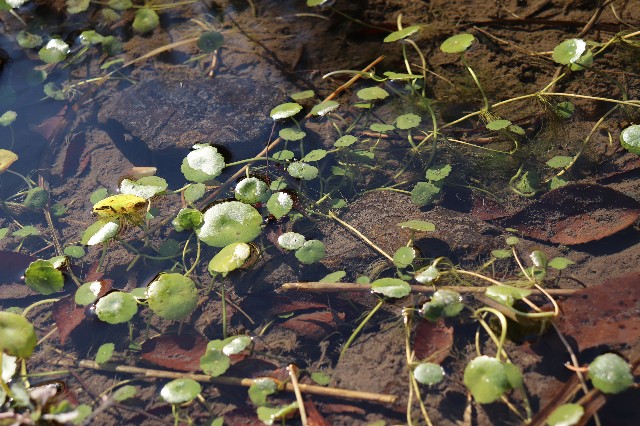 f:id:snow36:20191213200518j:image f:id:snow36:20191213200518j:image