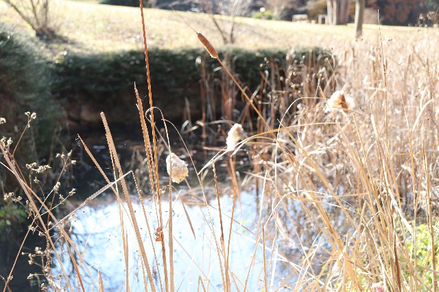 f:id:snow36:20191213202415j:image f:id:snow36:20191213202415j:image