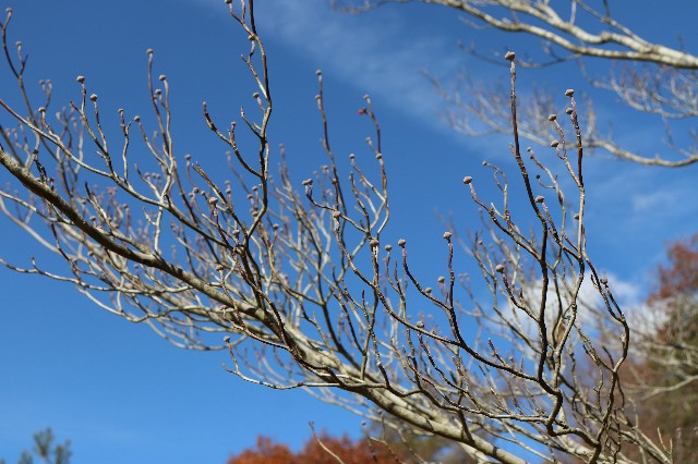 f:id:snow36:20191213203420j:image f:id:snow36:20191213203420j:image