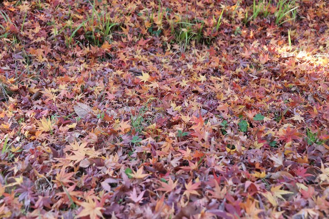 f:id:snow36:20191213203607j:image f:id:snow36:20191213203607j:image