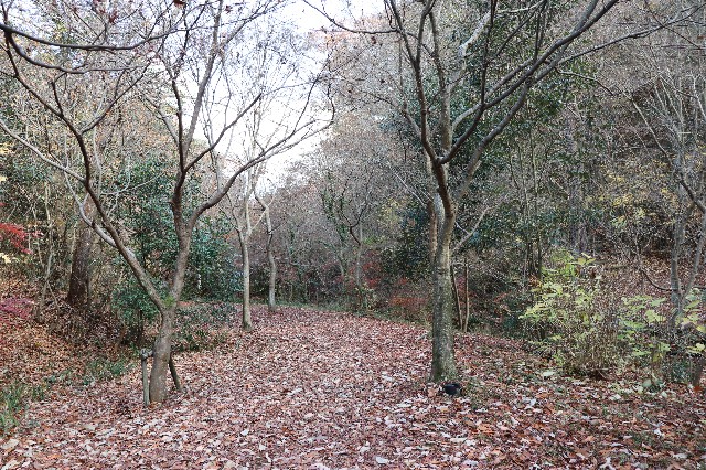 f:id:snow36:20191213203845j:image f:id:snow36:20191213203845j:image