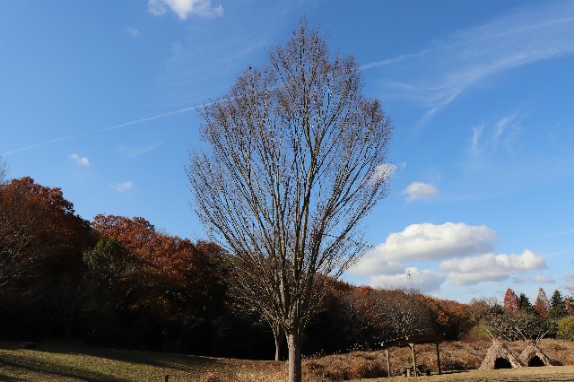 f:id:snow36:20191213205045j:image f:id:snow36:20191213205045j:image