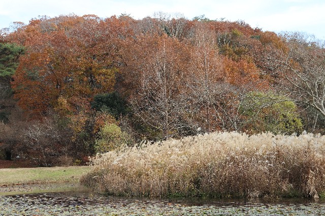 f:id:snow36:20191213205114j:image f:id:snow36:20191213205114j:image