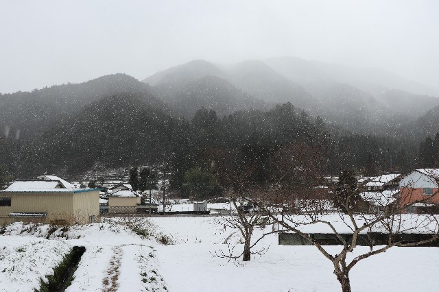 f:id:snow36:20200221220242j:image