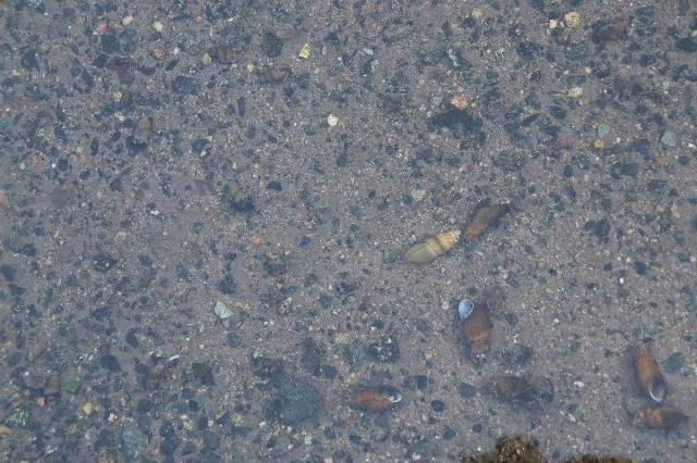 f:id:snow36:20200306174329j:image