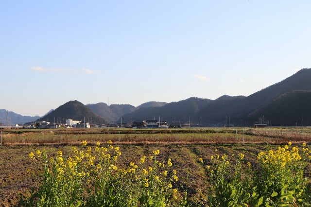 f:id:snow36:20200307201035j:image