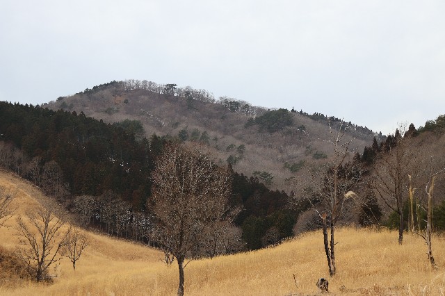 f:id:snow36:20200313180230j:image