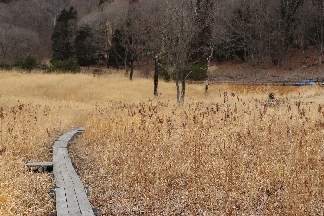 f:id:snow36:20200313181906j:image