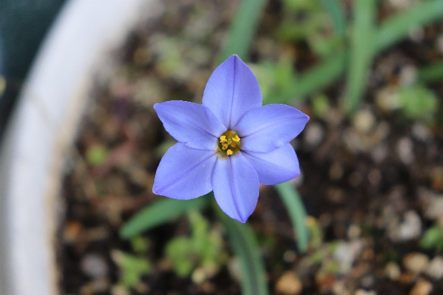 f:id:snow36:20200319144126j:image