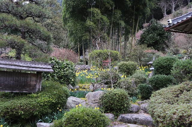 f:id:snow36:20200326200111j:image f:id:snow36:20200326200111j:image