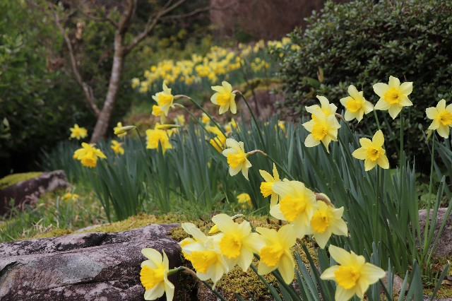 f:id:snow36:20200326200332j:image f:id:snow36:20200326200332j:image