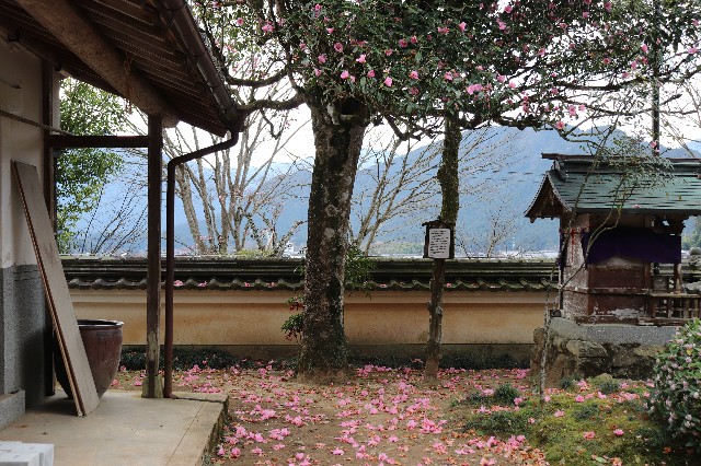 f:id:snow36:20200326200425j:image f:id:snow36:20200326200425j:image