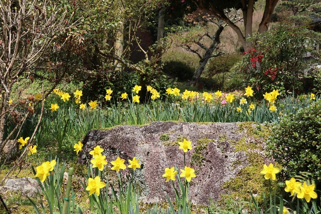 f:id:snow36:20200326200705j:image f:id:snow36:20200326200705j:image