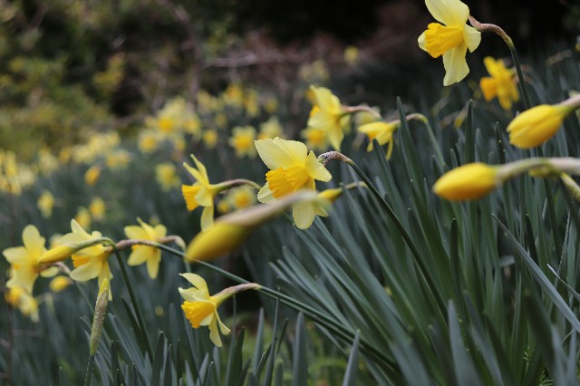 f:id:snow36:20200326200816j:image f:id:snow36:20200326200816j:image