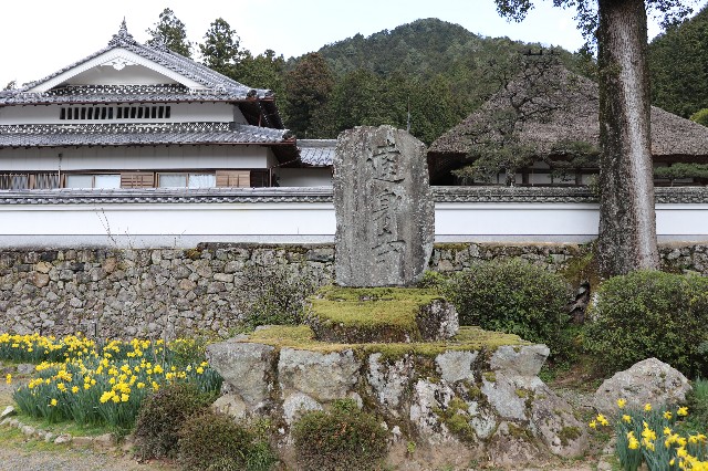 f:id:snow36:20200326201153j:image f:id:snow36:20200326201153j:image