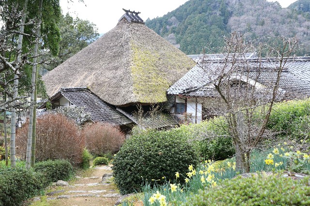 f:id:snow36:20200326202118j:image f:id:snow36:20200326202118j:image