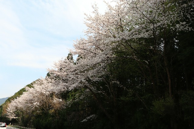 f:id:snow36:20200403155843j:image