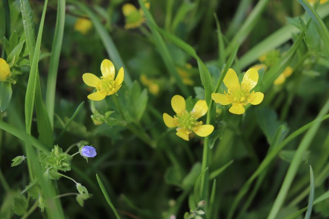 f:id:snow36:20200414001651j:image f:id:snow36:20200414001651j:image