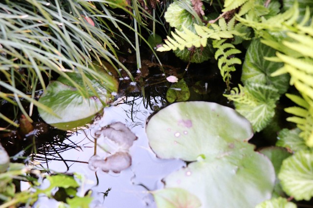 f:id:snow36:20200414203919j:image f:id:snow36:20200414203919j:image