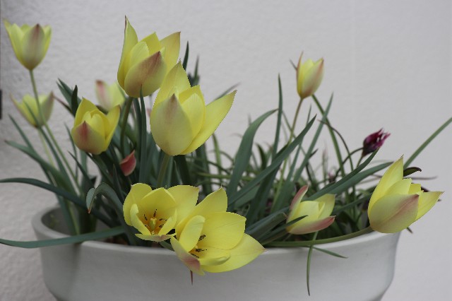 f:id:snow36:20200430225638j:image f:id:snow36:20200430225638j:image