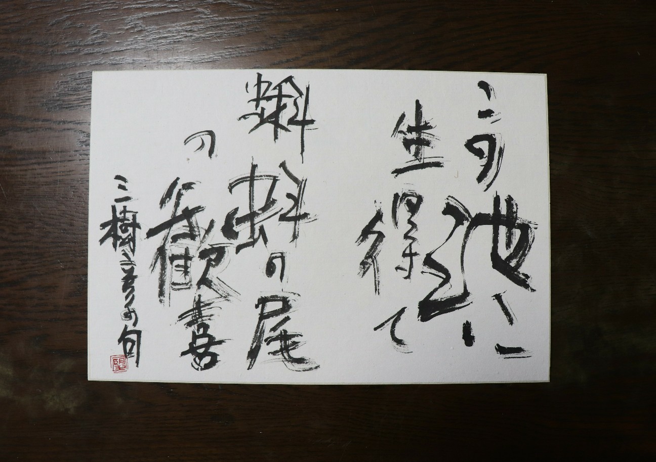 f:id:snow36:20200513231641j:image