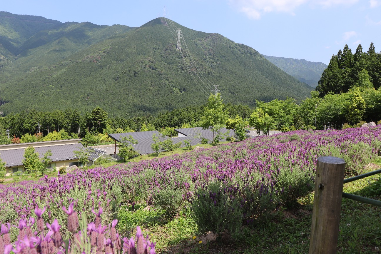 f:id:snow36:20200608154540j:image