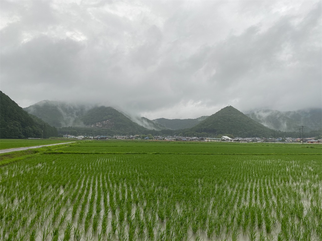 f:id:snow36:20200709125229j:image f:id:snow36:20200709125229j:image