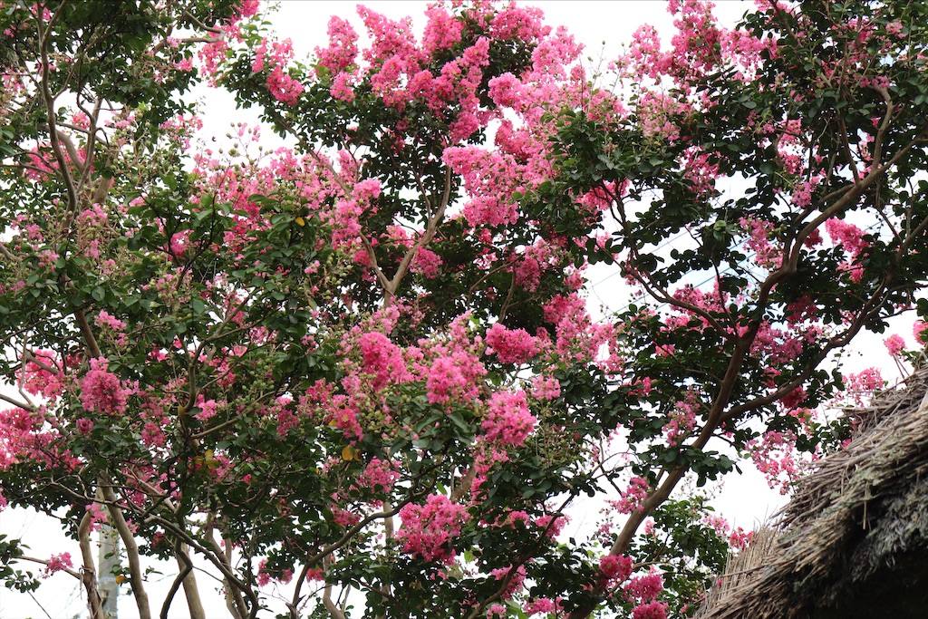 f:id:snow36:20200828145350j:image f:id:snow36:20200828145350j:image