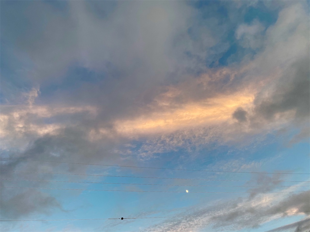 f:id:snow36:20200926180142j:image f:id:snow36:20200926180142j:image