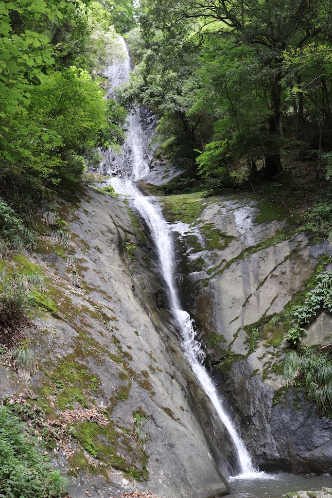 f:id:snow36:20200927190057j:image f:id:snow36:20200927190057j:image