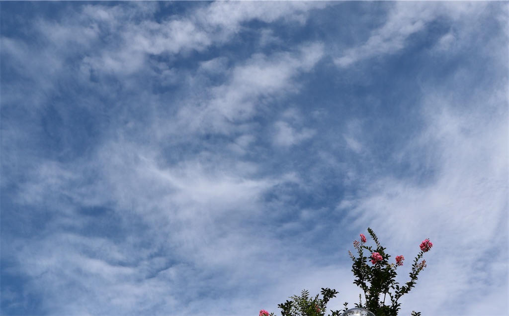 f:id:snow36:20200927192635j:image f:id:snow36:20200927192635j:image