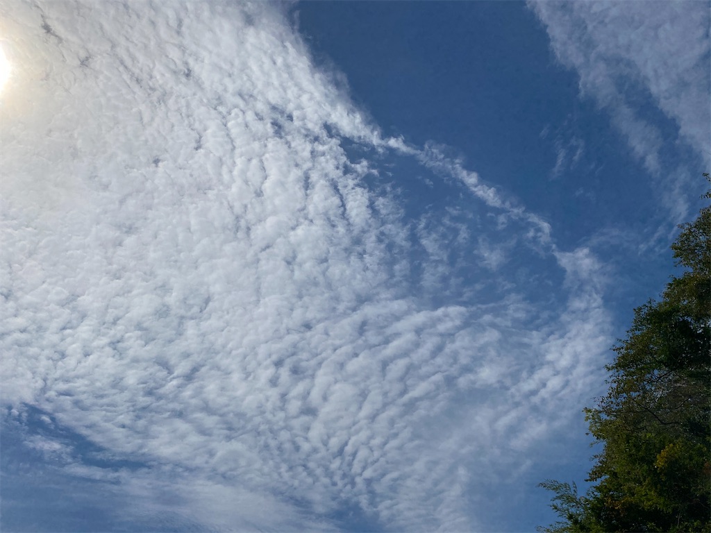 f:id:snow36:20200927221359j:image f:id:snow36:20200927221359j:image