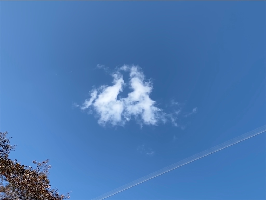 f:id:snow36:20201104155318j:image f:id:snow36:20201104155318j:image