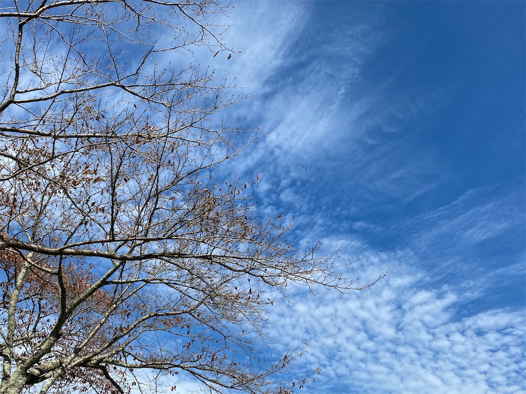 f:id:snow36:20201107083415j:image f:id:snow36:20201107083415j:image