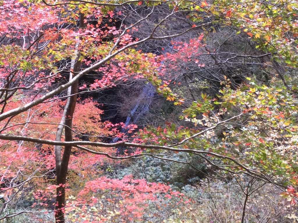 f:id:snow36:20201201001356j:image