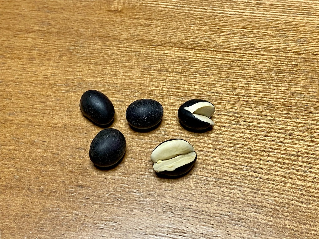 f:id:snow36:20201208085411j:image f:id:snow36:20201208085411j:image