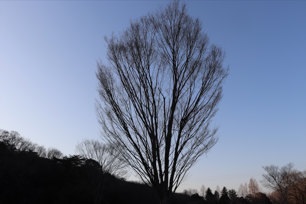 f:id:snow36:20210115184823j:image f:id:snow36:20210115184823j:image