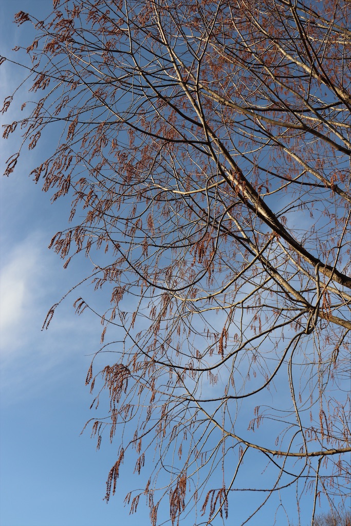 f:id:snow36:20210115185015j:image f:id:snow36:20210115185015j:image