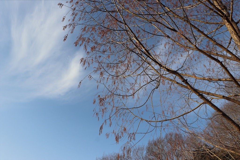 f:id:snow36:20210115185019j:image