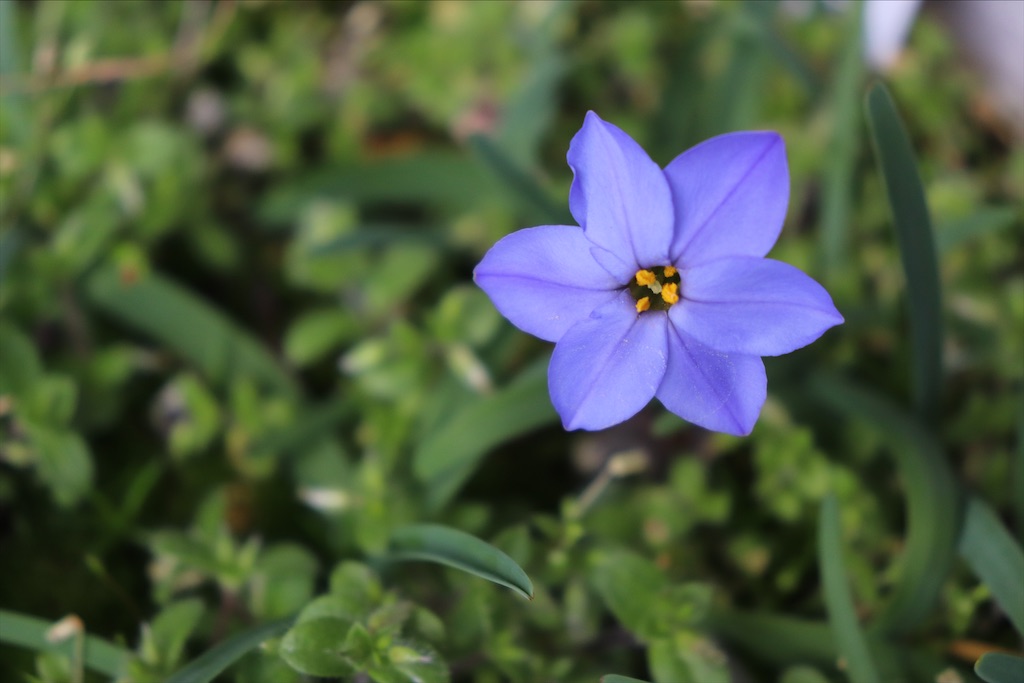 f:id:snow36:20210328150715j:image