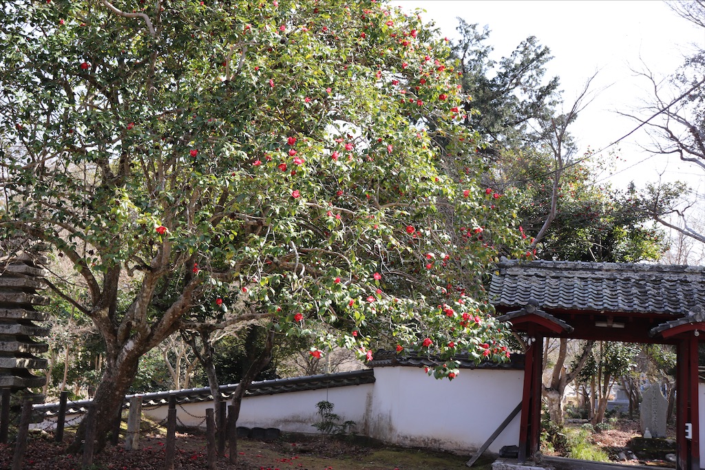 f:id:snow36:20210328150825j:image