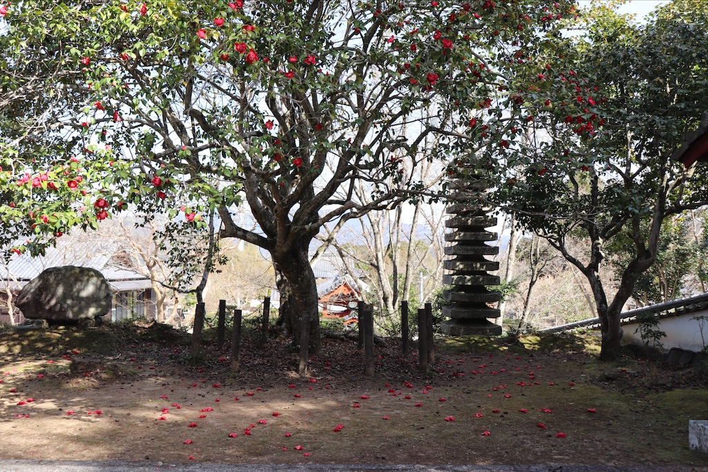 f:id:snow36:20210328150855j:image