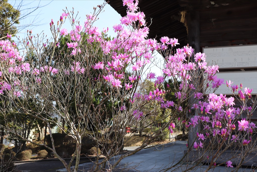 f:id:snow36:20210328193908j:image