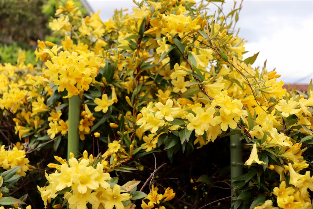 f:id:snow36:20210424184047j:image f:id:snow36:20210424184047j:image